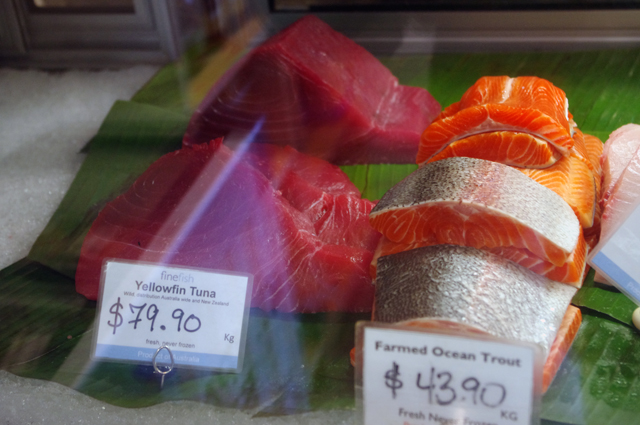 fish1.jpg